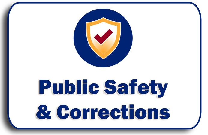 Public Safety Corrections